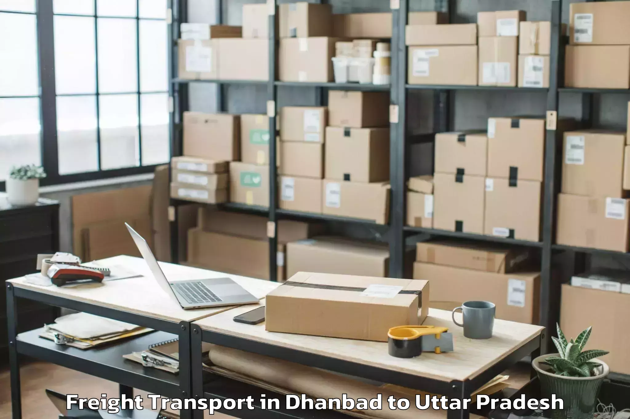 Professional Dhanbad to Belthara Road Freight Transport